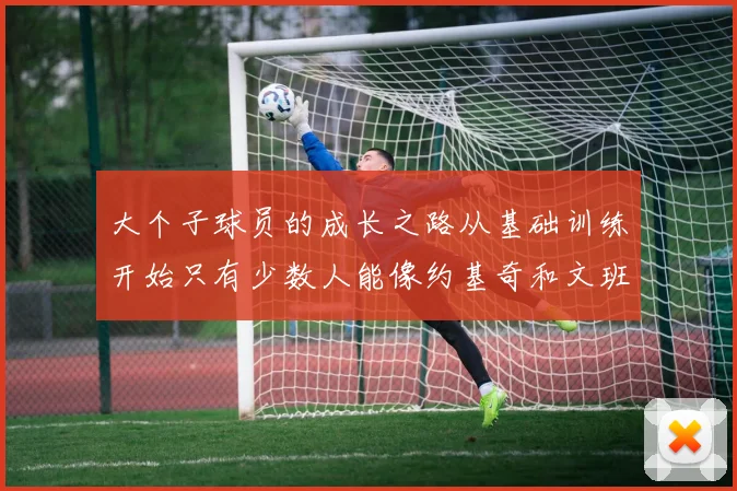 大个子球员的成长之路从基础训练开始只有少数人能像约基奇和文班那样成功
