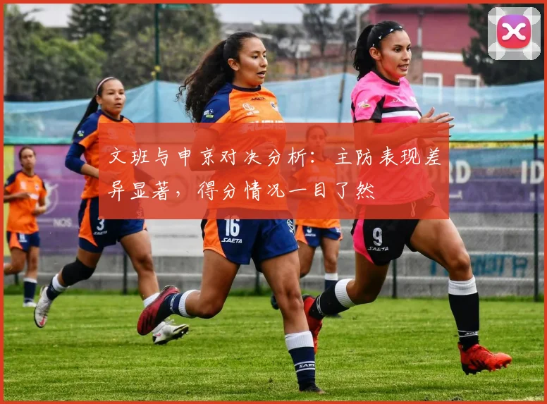 文班与申京对决分析：主防表现差异显著，得分情况一目了然