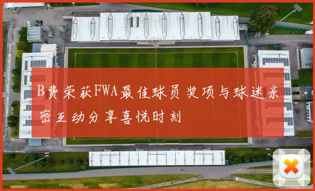 B费荣获FWA最佳球员奖项与球迷亲密互动分享喜悦时刻
